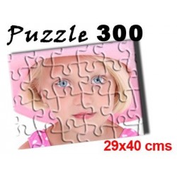 Puzzle 300 piezas