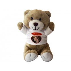 Oso peluche Teddy