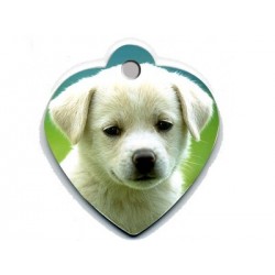 Placa mascotas corazón